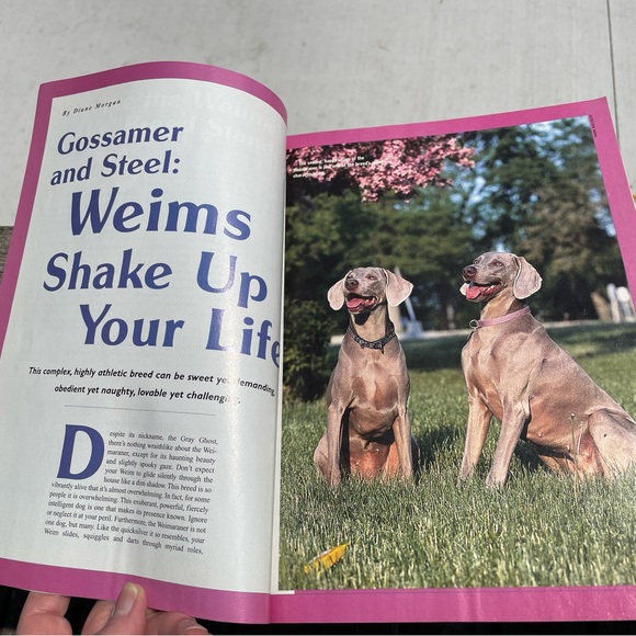Dog Fancy Popular Dogs Series Weimaraners Volume 42 Magazine Format 128 pages - Picture 7 of 8